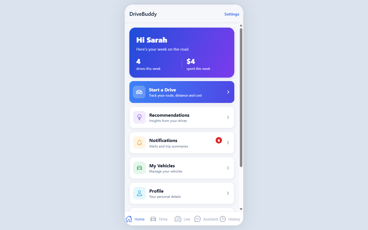 DriveBuddy preview